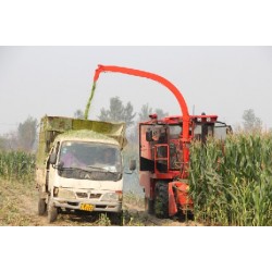 1-BIGDEL 2 SIRALI MISIR SILAJ MAKİNESİ